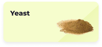 Yeast