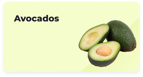 Avocado