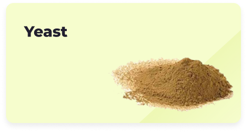 Yeast